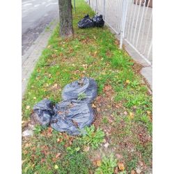 Zdjęcie trawnika na którym leżą worki śmieci