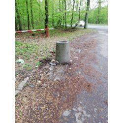 Zdjęcie opróżnionego kosza na śmieci