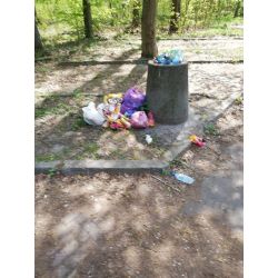 Zdjęcie przepełnionego kosza na śmieci